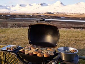 Read more about the article Ideas for a Winter BBQ in the Run-Up to Christmas