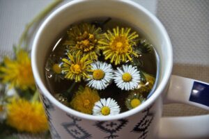 Read more about the article What Makes Daisies Weeds?